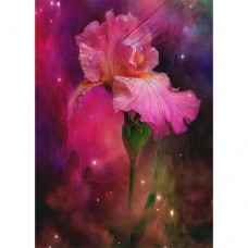 CAROL CAVALARIS COLLECTION Goddess of Divine